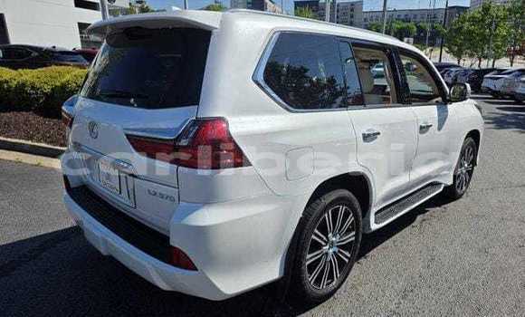 Acheter Occasion Voiture Lexus LX 570 Blanc à Fish Town, Grand Gedeh County Acheter Occasion Voiture Lexus LX 570 Blanc à Fish Town, Grand Gedeh County