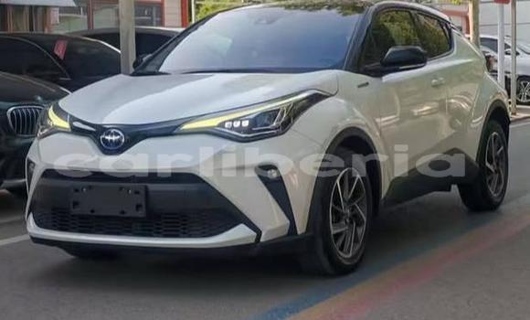 Buy Used Toyota C-HR White Car in Monrovia in Montserrado County