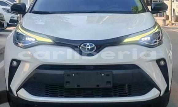Buy Used Toyota C-HR White Car in Monrovia in Montserrado County Buy Used Toyota C-HR White Car in Monrovia in Montserrado County