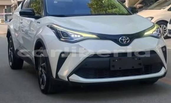 Buy Used Toyota C-HR White Car in Monrovia in Montserrado County Buy Used Toyota C-HR White Car in Monrovia in Montserrado County
