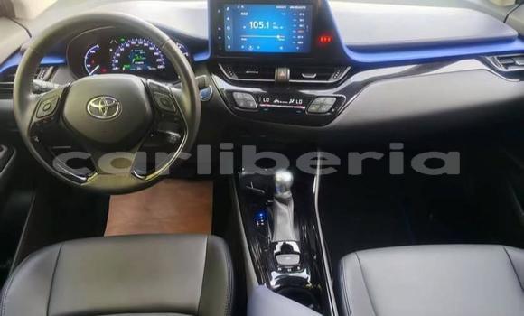 Buy Used Toyota C-HR White Car in Monrovia in Montserrado County Buy Used Toyota C-HR White Car in Monrovia in Montserrado County
