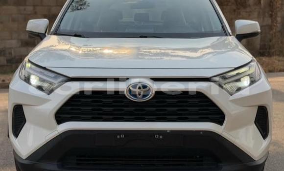 Buy Used Toyota RAV4 White Car in Monrovia in Montserrado County