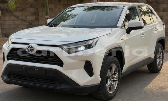 Buy Used Toyota RAV4 White Car in Monrovia in Montserrado County Buy Used Toyota RAV4 White Car in Monrovia in Montserrado County
