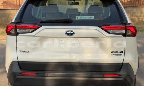 Buy Used Toyota RAV4 White Car in Monrovia in Montserrado County Buy Used Toyota RAV4 White Car in Monrovia in Montserrado County
