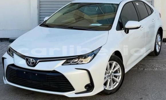 Buy Used Toyota Corolla White Car in Monrovia in Montserrado County