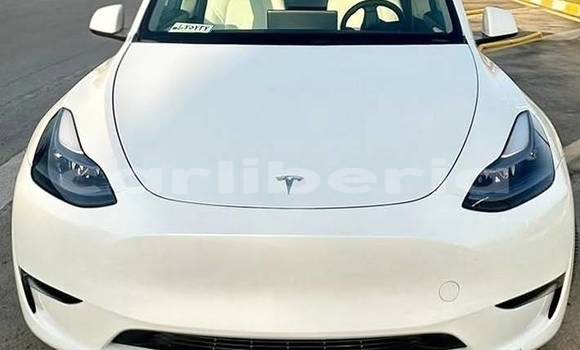 Buy Used Tesla Model X White Car in Monrovia in Montserrado County