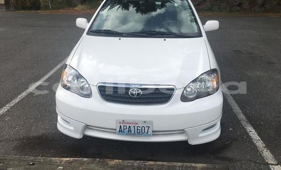 Buy Used Toyota Corolla White Car in Monrovia in Montserrado County Buy Used Toyota Corolla White Car in Monrovia in Montserrado County