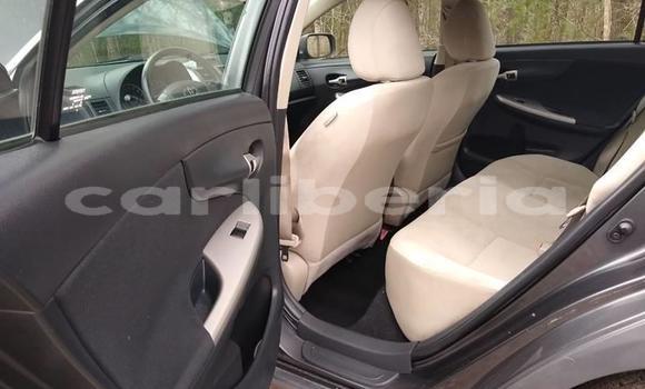 Buy Used Toyota Corolla Beige Car in Monrovia in Montserrado County Buy Used Toyota Corolla Beige Car in Monrovia in Montserrado County