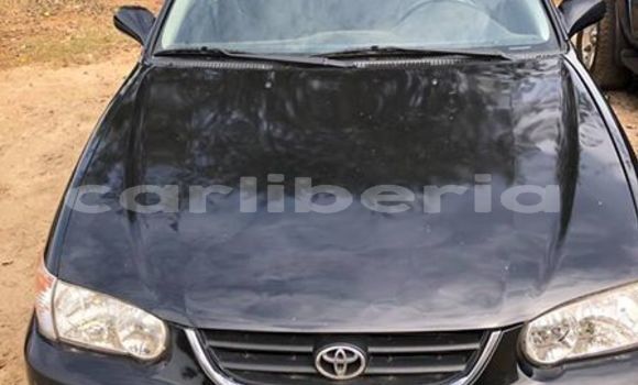Buy Used Toyota Corolla Black Car in Monrovia in Montserrado County Buy Used Toyota Corolla Black Car in Monrovia in Montserrado County