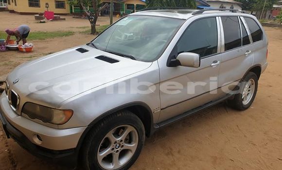 Buy Used BMW X5 Silver Car in Monrovia in Montserrado County