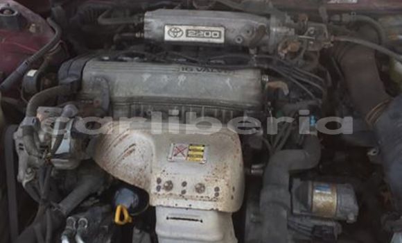 Buy Used Toyota Camry Red Car in Monrovia in Montserrado County Buy Used Toyota Camry Red Car in Monrovia in Montserrado County