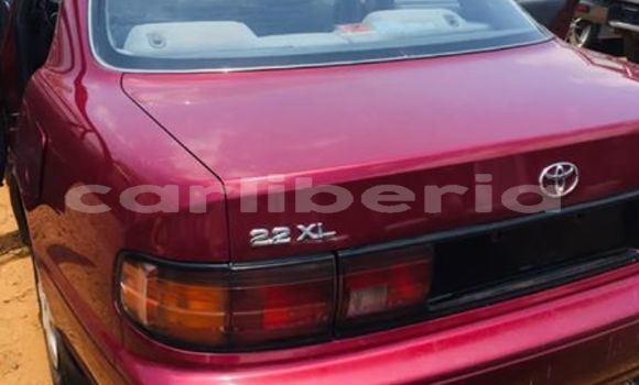 Buy Used Toyota Camry Red Car in Monrovia in Montserrado County Buy Used Toyota Camry Red Car in Monrovia in Montserrado County