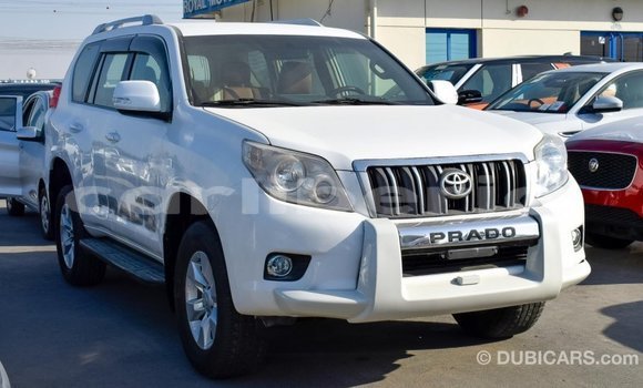 Buy Import Toyota Prado White Car in Import - Dubai in Bomi County Buy Import Toyota Prado White Car in Import - Dubai in Bomi County
