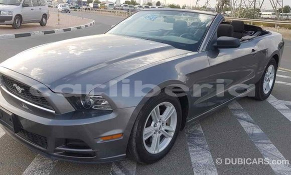 Buy Import Ford Mustang Other Car in Import - Dubai in Bomi County Buy Import Ford Mustang Other Car in Import - Dubai in Bomi County