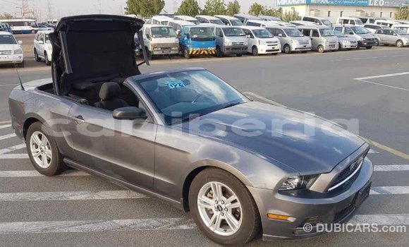 Buy Import Ford Mustang Other Car in Import - Dubai in Bomi County Buy Import Ford Mustang Other Car in Import - Dubai in Bomi County