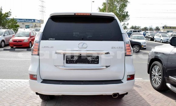 Buy Import Lexus GX White Car in Import - Dubai in Bomi County Buy Import Lexus GX White Car in Import - Dubai in Bomi County