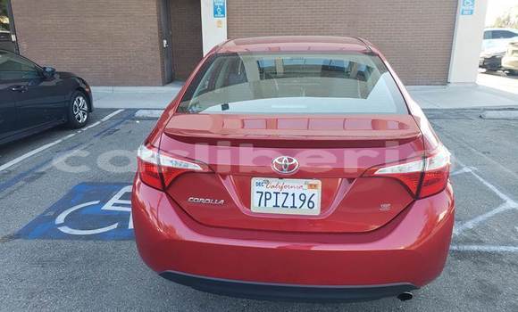 Buy Used Toyota Corolla Red Car in Monrovia in Montserrado County Buy Used Toyota Corolla Red Car in Monrovia in Montserrado County