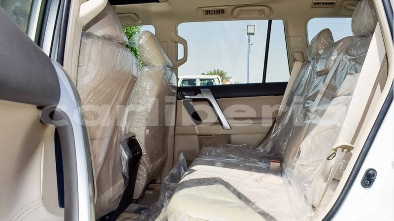 Big with watermark 7