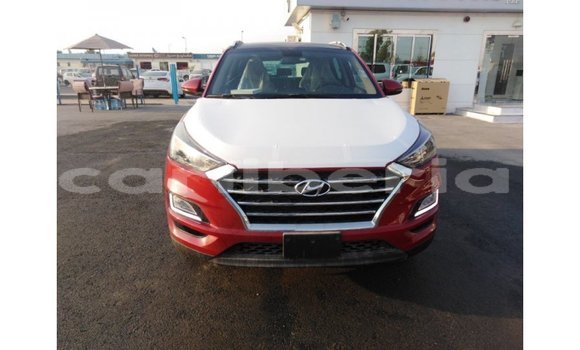 Buy Import Hyundai Tucson Red Car in Import - Dubai in Bomi County Buy Import Hyundai Tucson Red Car in Import - Dubai in Bomi County